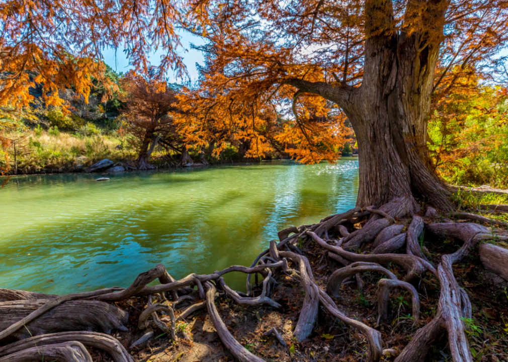 Texas: Guadalupe River